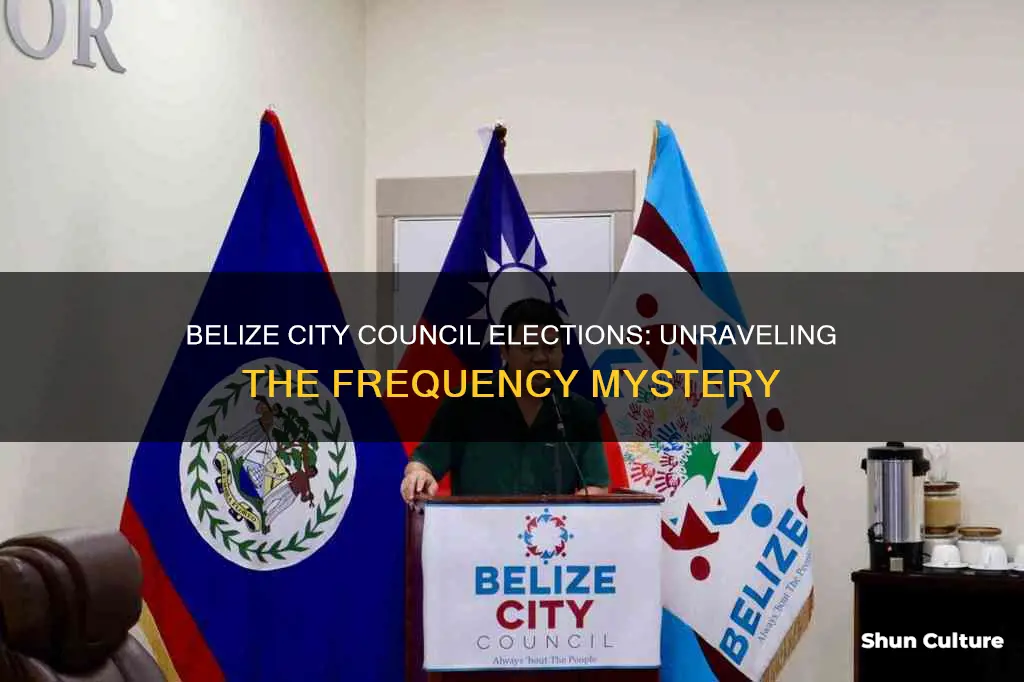 how often are city council elections held in belize