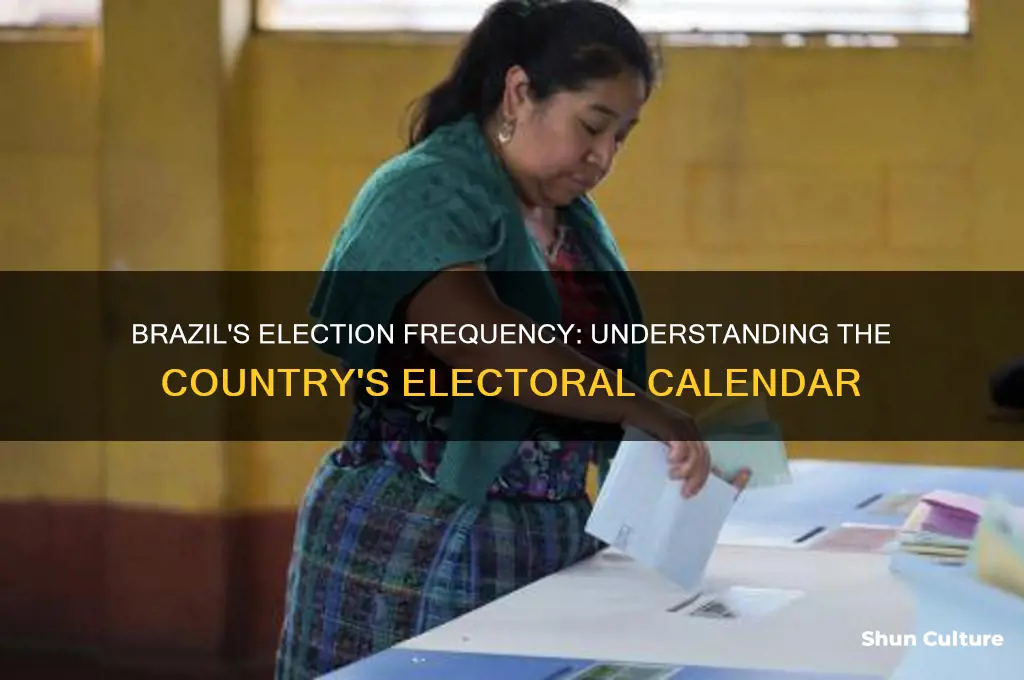how often are elections in brazil