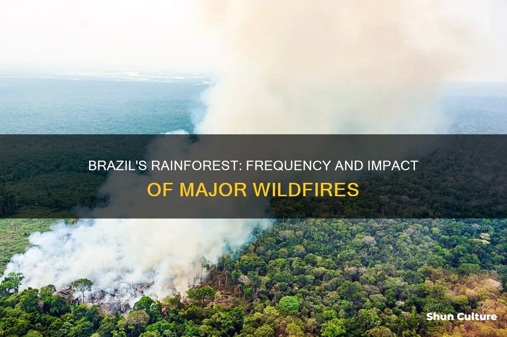how often do big fires occur in brazils rain forest.com