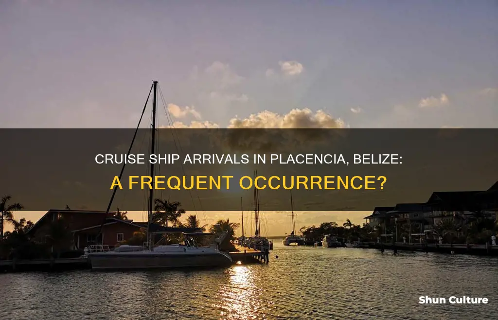 how often do cruise ships arrive in placencia belize