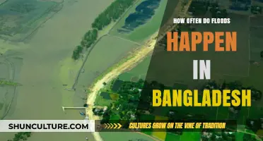Understanding Bangladesh's Flood Frequency: Causes, Impacts, and Prevention Measures