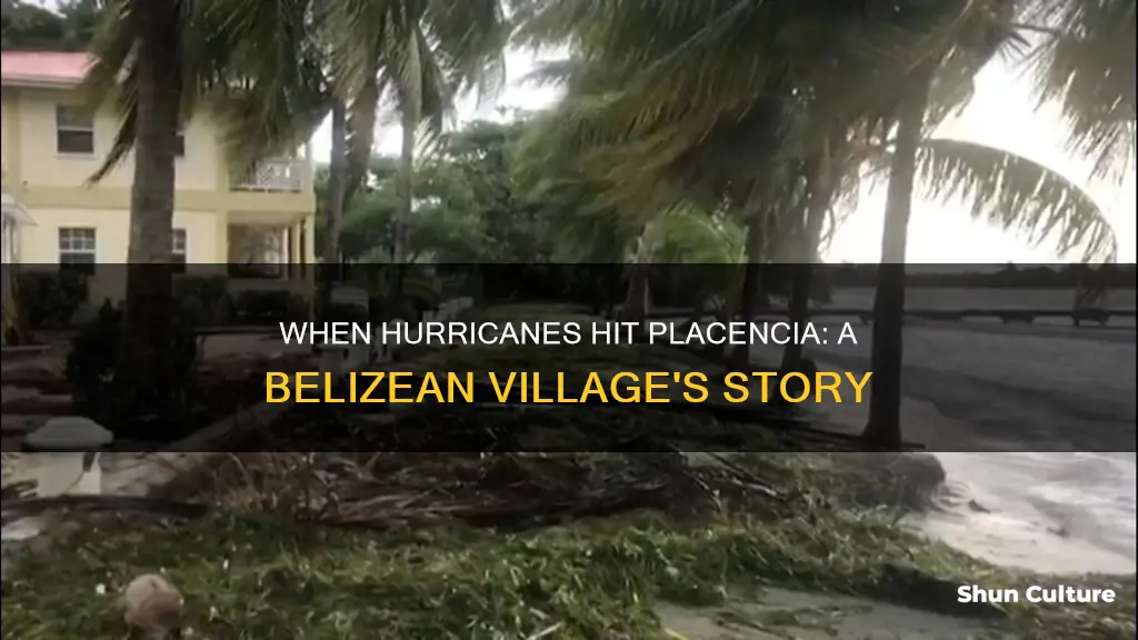 how often do hurricanes hit placencia belize