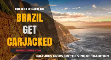 Carjacking Risks: Comparing Taurus and Brazil's Vulnerability Rates