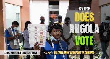 Angola's Electoral Process: Voting Frequency Explored