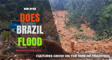 Brazil's Flood Frequency: Understanding the Recurring Water Crisis