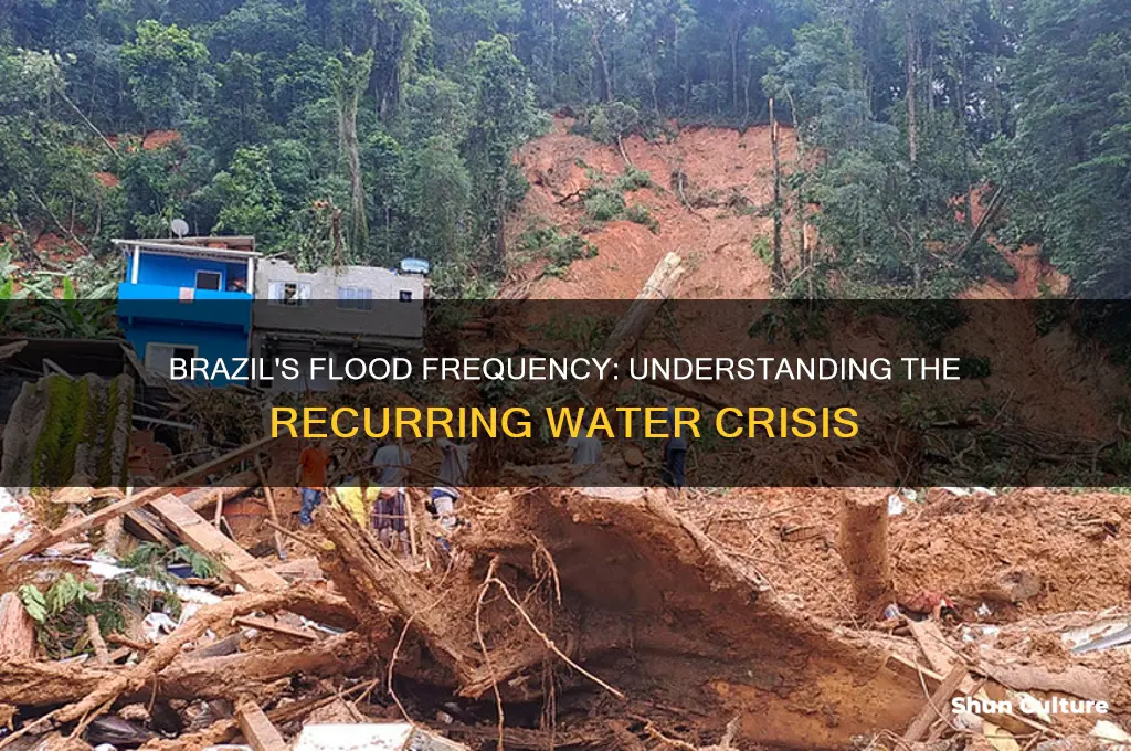 how often does brazil flood