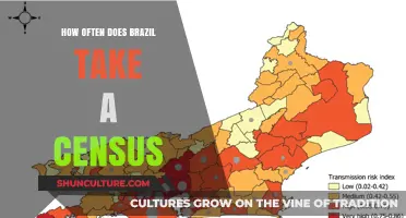 Brazil's Census Frequency: Understanding the Country's Population Data Collection