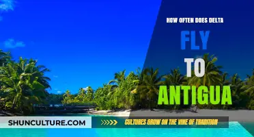 Delta’s Antigua Flight Frequency: How Often They Fly Weekly