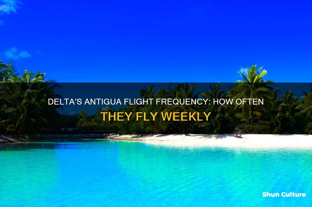 how often does delta fly to antigua
