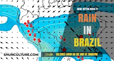 Brazil's Rainfall Patterns: How Often Does It Rain in Brazil?