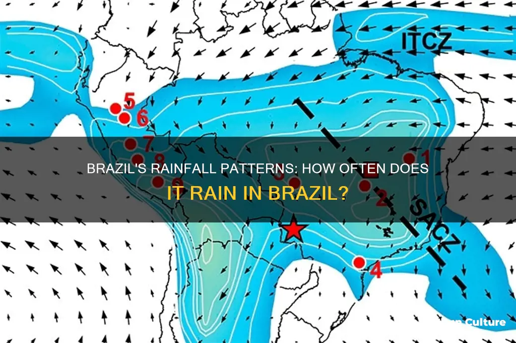 how often does it rain in brazil
