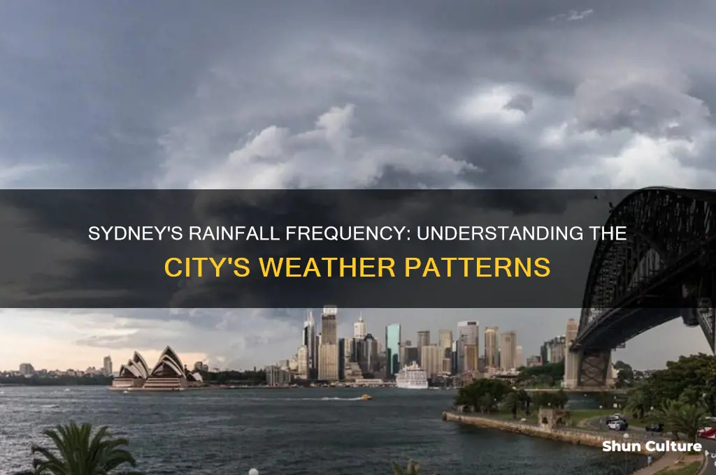 how often does it rain in sydney australia