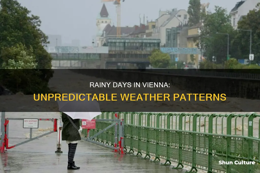 how often does it rain in vienna austria