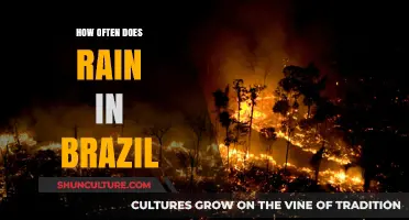 Brazil's Rainfall Patterns: How Often Does It Rain in Brazil?