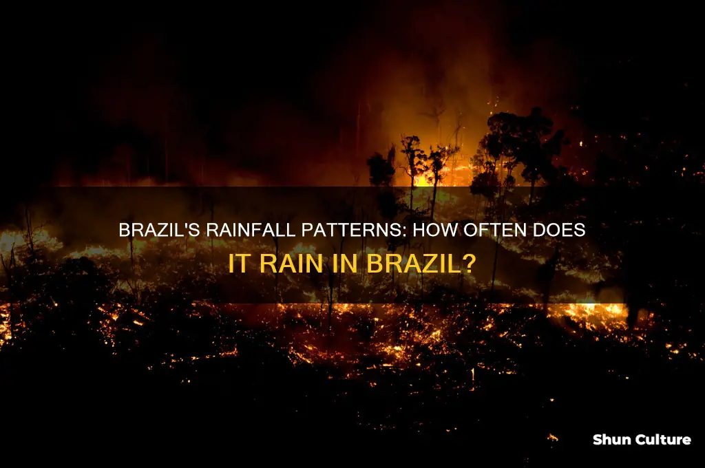 how often does rain in brazil