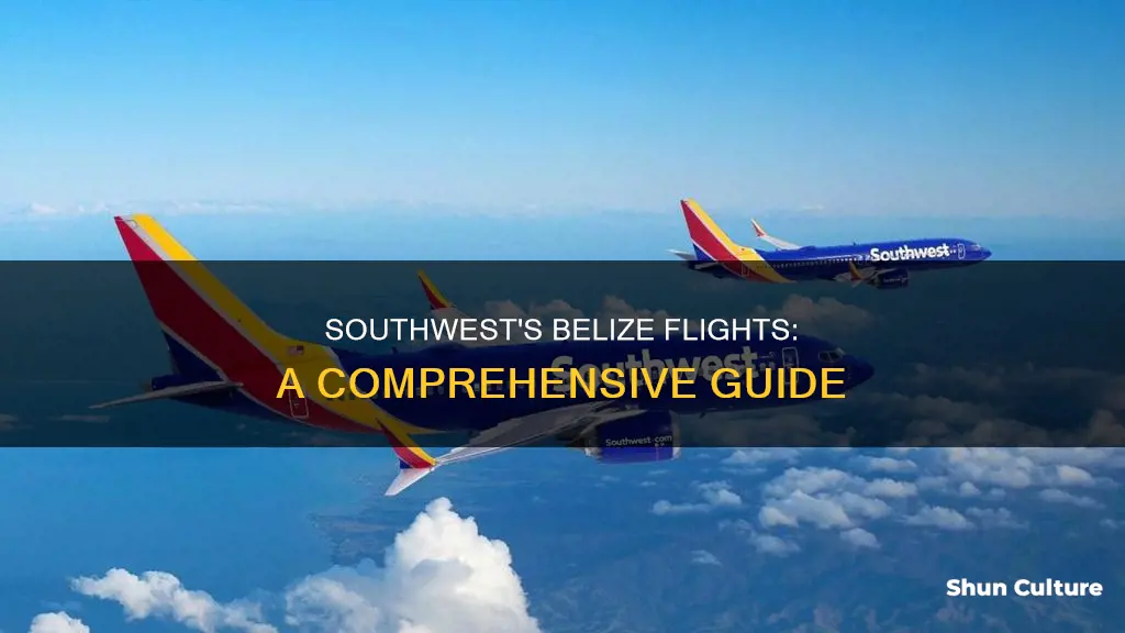 how often does southwest fly to belize