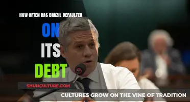 Brazil's Debt Defaults: A Historical Overview of Financial Crises