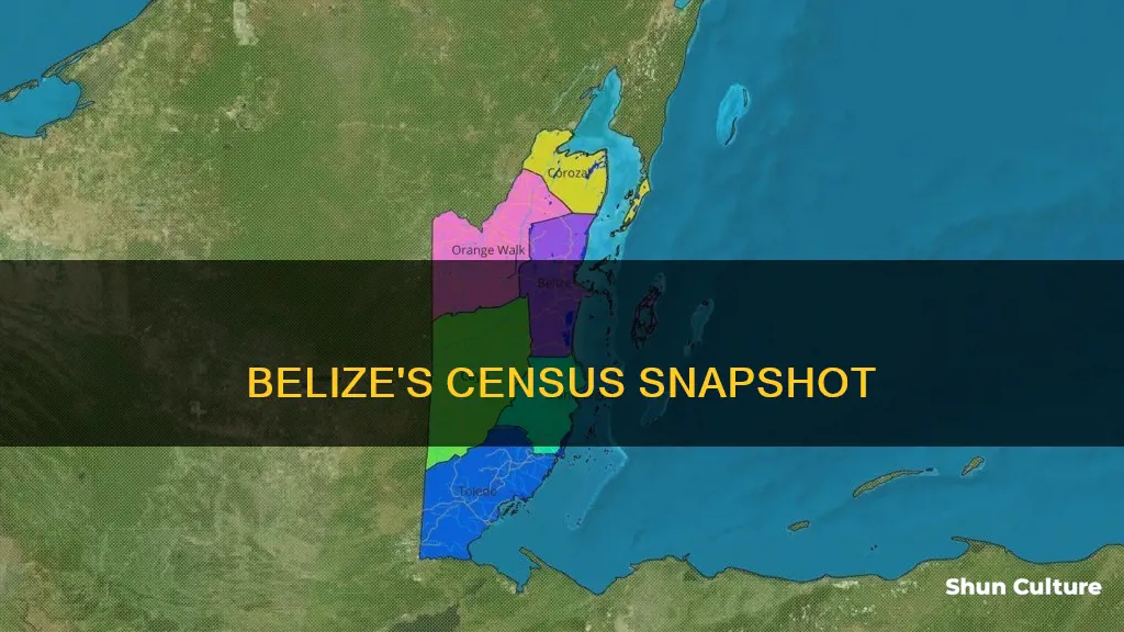 how often is a census taken in belize