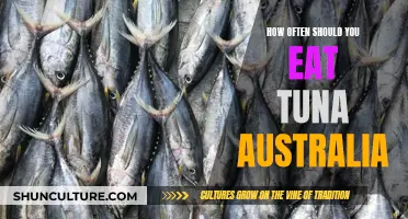 Tuna Consumption in Australia: How Much Is Too Much?