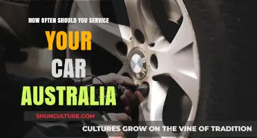 Car Maintenance: How Often Should You Service Your Vehicle?