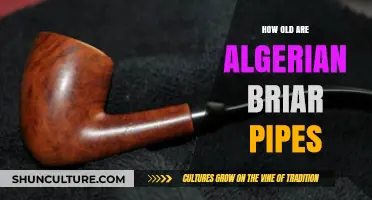 Unveiling the Age of Algerian Briar Pipes: A Historical Journey