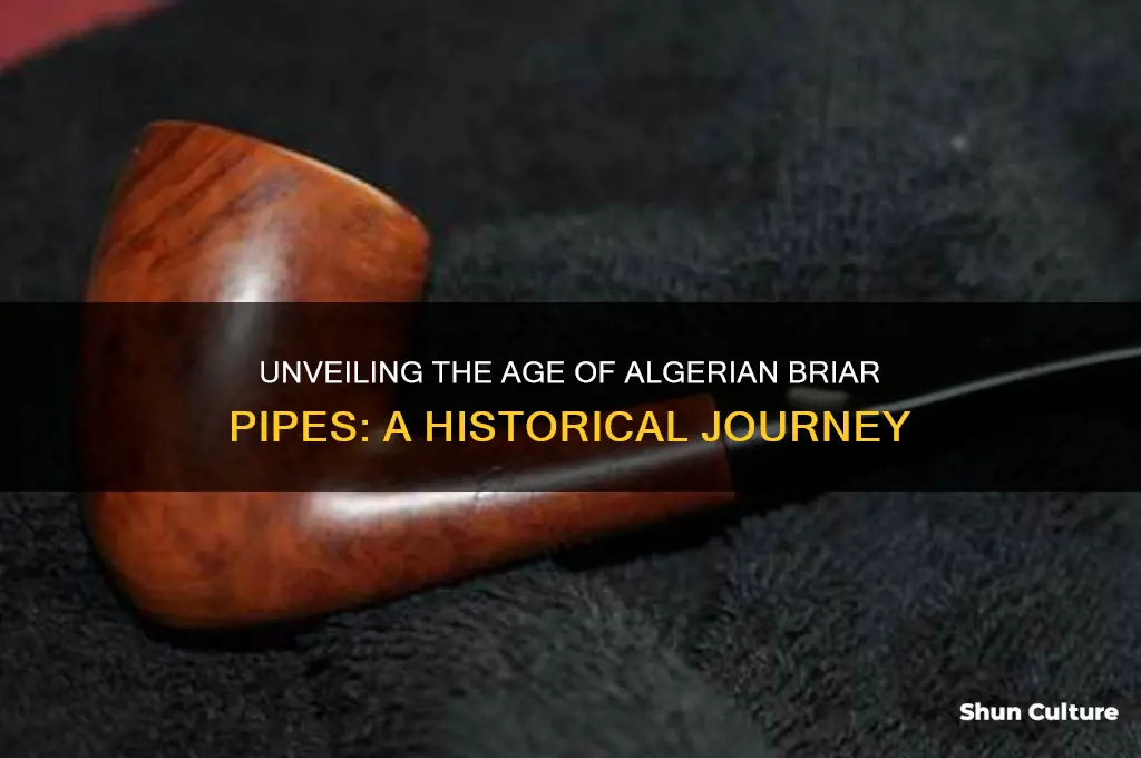 how old are algerian briar pipes