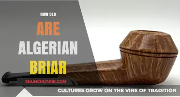 Unveiling the Age of Algerian Briar: A Historical Perspective