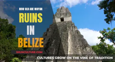 Belize's Ancient Secrets: Unveiling the Age of Mayan Ruins