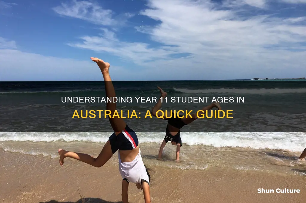 how old are year 11 students in australia