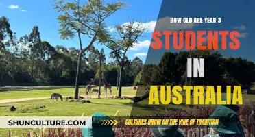 Understanding the Age of Year 3 Students in Australia