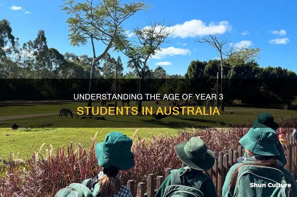 how old are year 3 students in australia