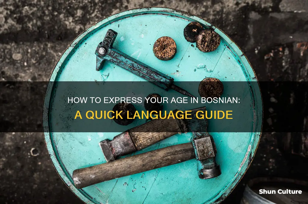 how old are you in bosnian