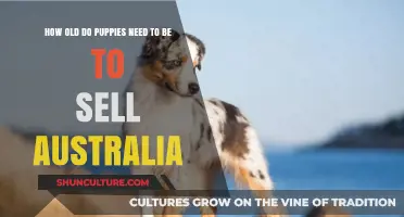 Selling Puppies in Australia: Understanding the Minimum Age Requirements