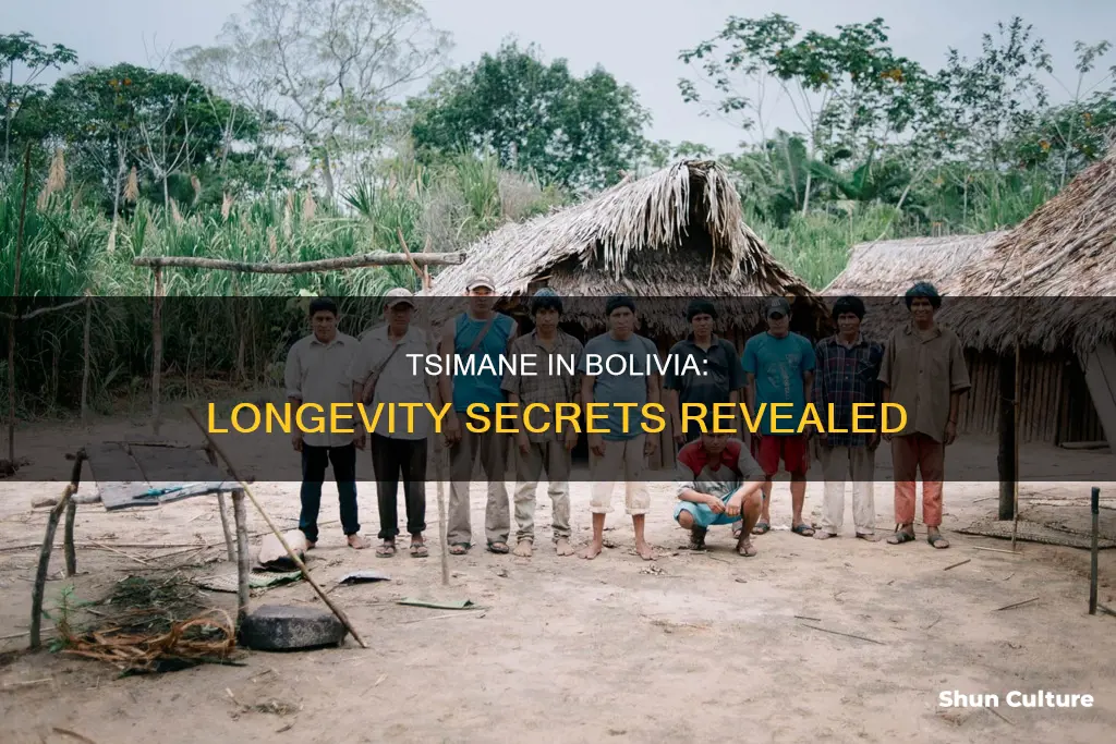 how old do tsimane in bolivia live