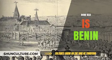 Exploring Benin's Rich History: A Journey Through Time