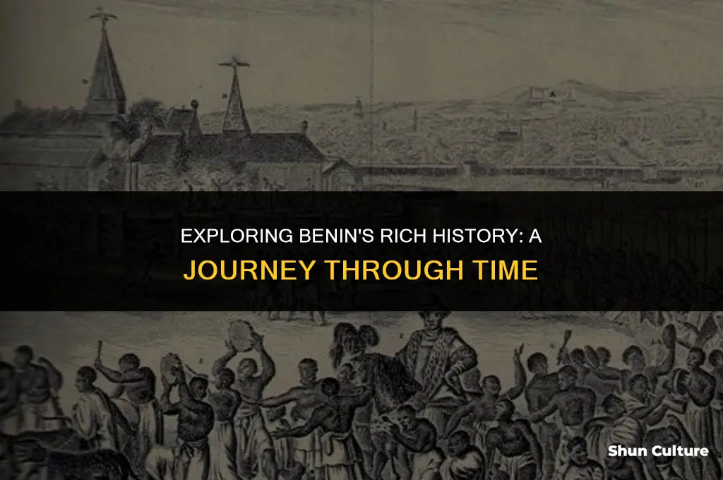 how old is benin