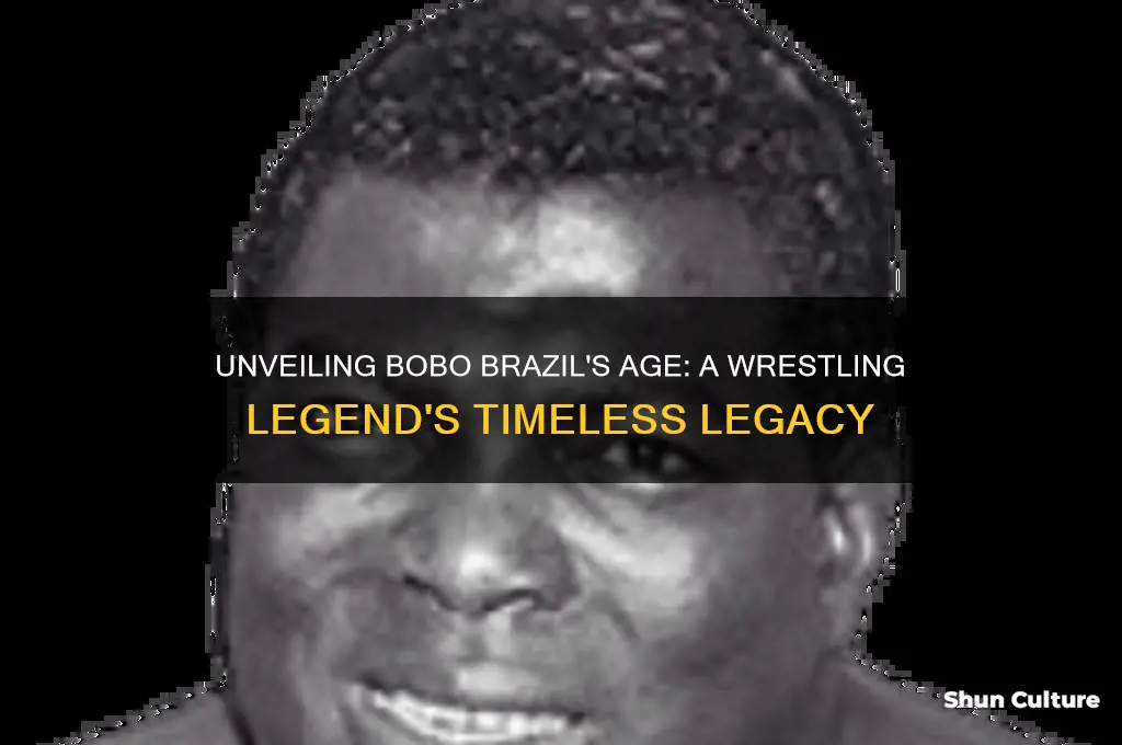 how old is bobo brazil