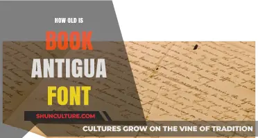 Exploring the Age and History of the Antigua Book Font