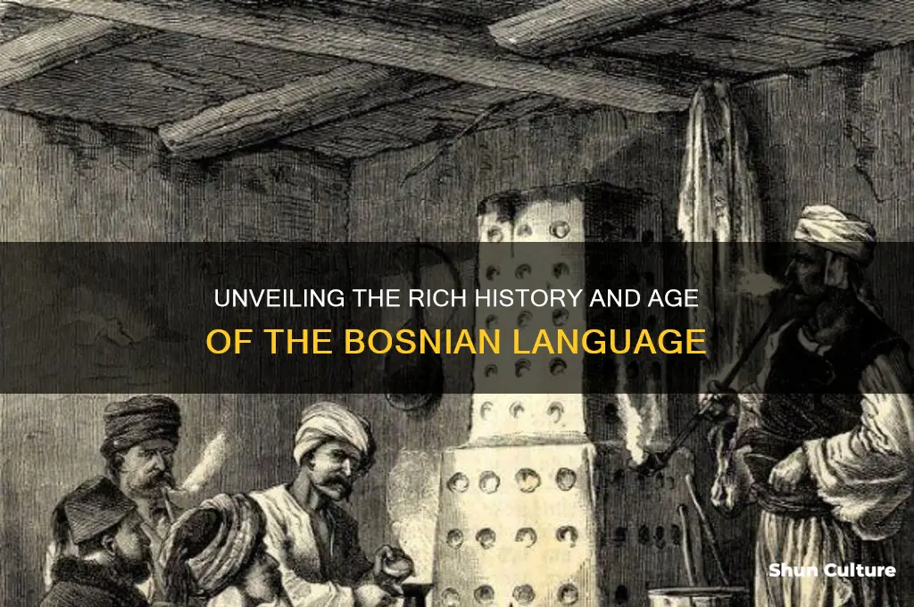 how old is bosnian language