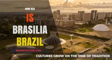 Discovering Brasilia's Age: A Journey Through Brazil's Capital History
