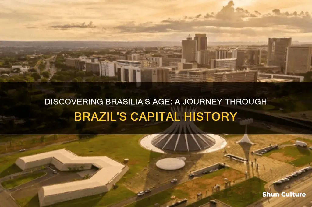 how old is brasilia brazil
