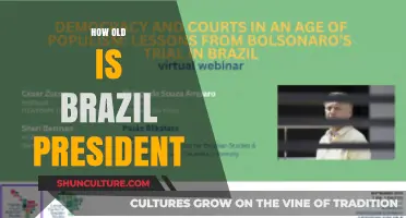 Exploring the Age of Brazil's Current President: A Quick Insight