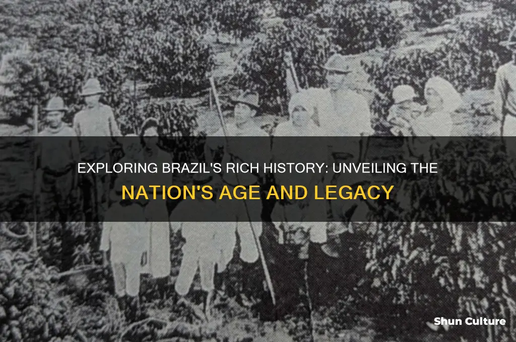 how old is brazil