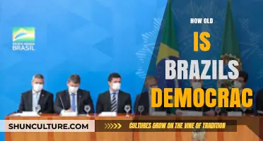 Brazil's Democracy: A Historical Journey and Its Age Revealed