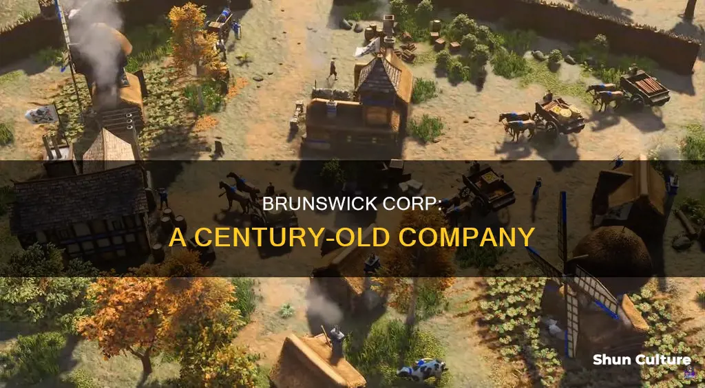 how old is brunswick corp