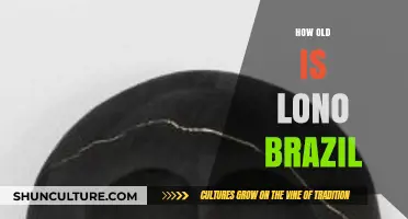 Unveiling Lono Brazil's Age: A Comprehensive Exploration of His Life