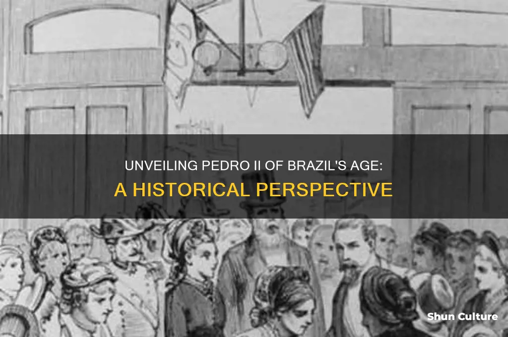 how old is pedro ii of brazil