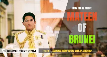 Prince Mateen of Brunei: His Age and Life