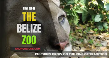 The Belize Zoo: A Legacy of Wildlife Conservation