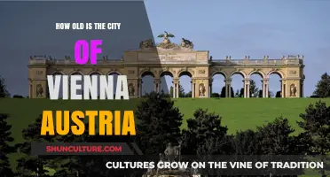 Vienna's Ancient History: Exploring Austria's Timeless Capital